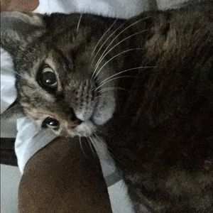 Meet your Posher, Bonnie